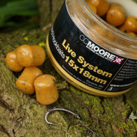 Live System Glugged Hookbaits freeshipping - Going Fishing Tackle